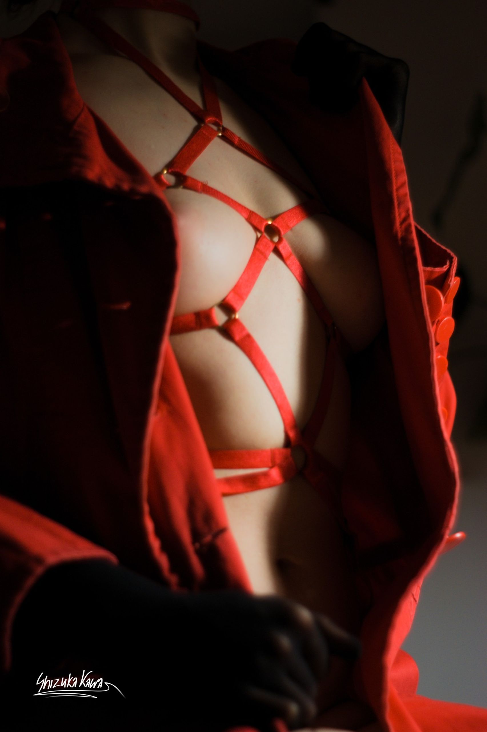 Red Body Harness and Trench Coat image 3