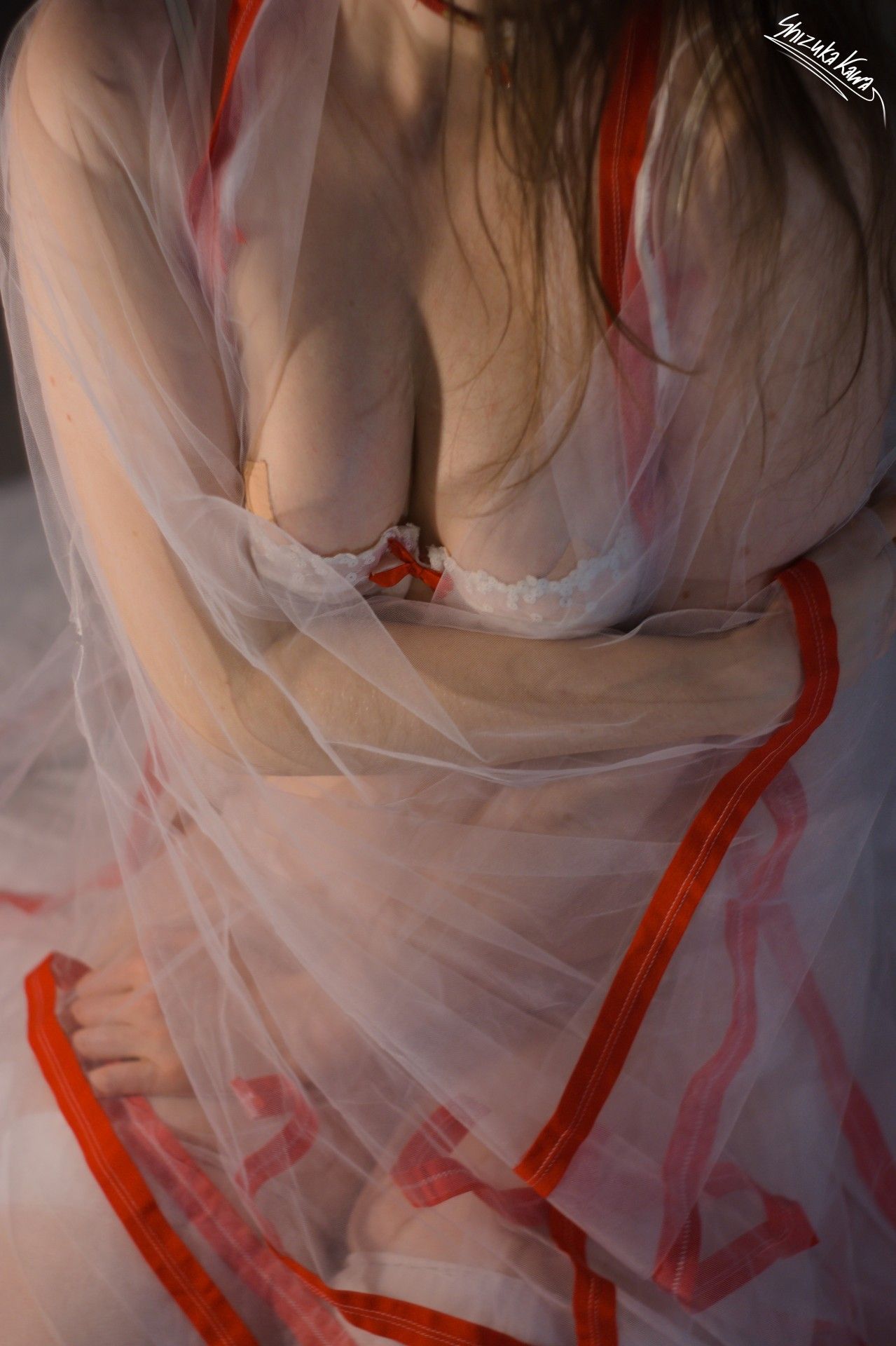 Miko Priestess in See-through Kimono, Red Miniskirt and White Lingerie with Foxy Ears and Tail image 12