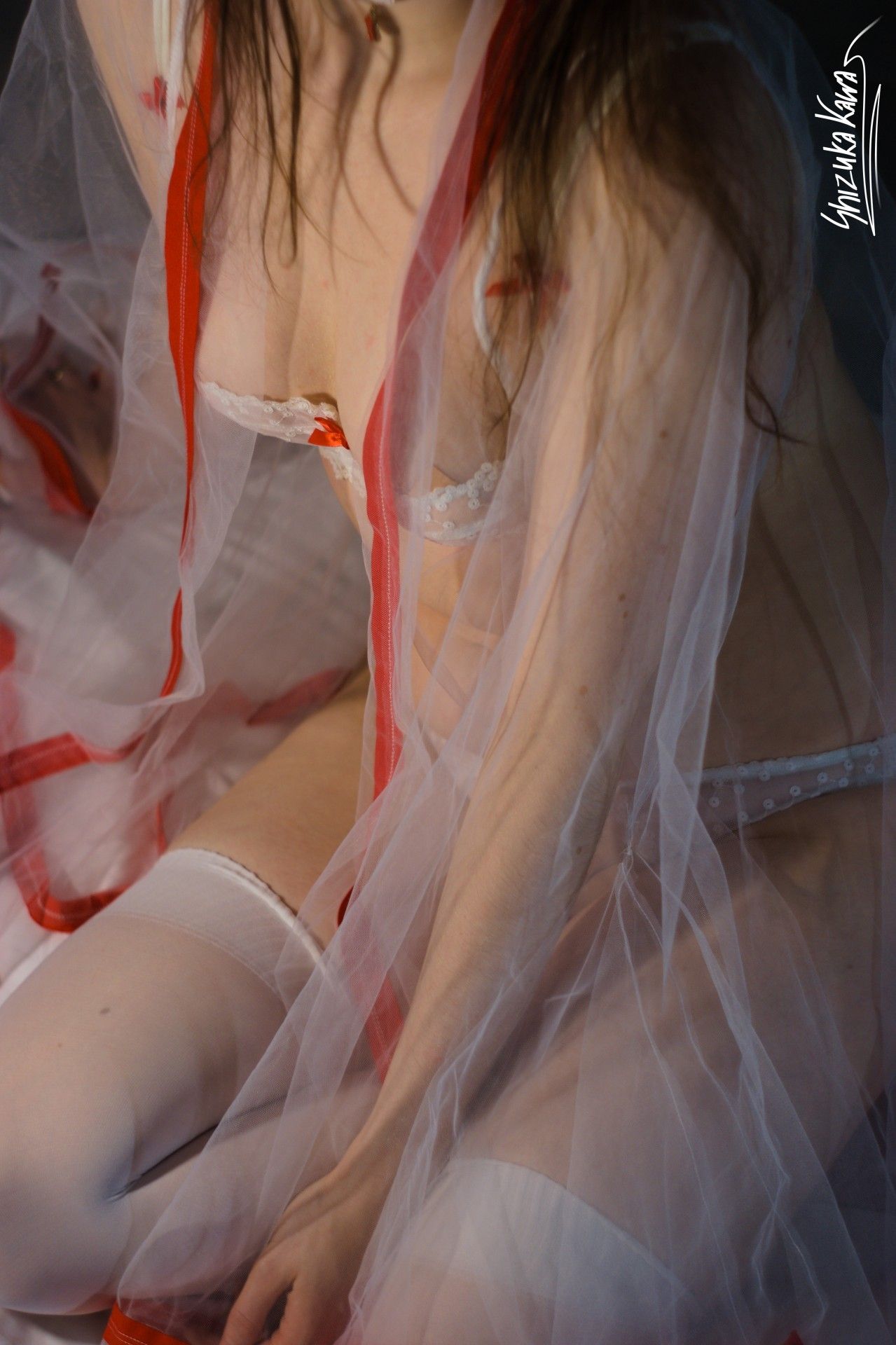 Miko Priestess in See-through Kimono, Red Miniskirt and White Lingerie with Foxy Ears and Tail image 8