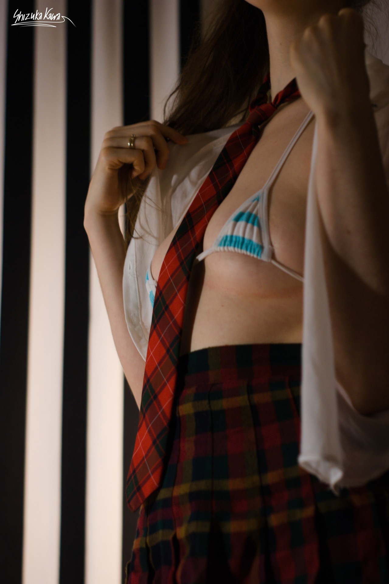 Schoolgirl and Striped Microbikini image 10
