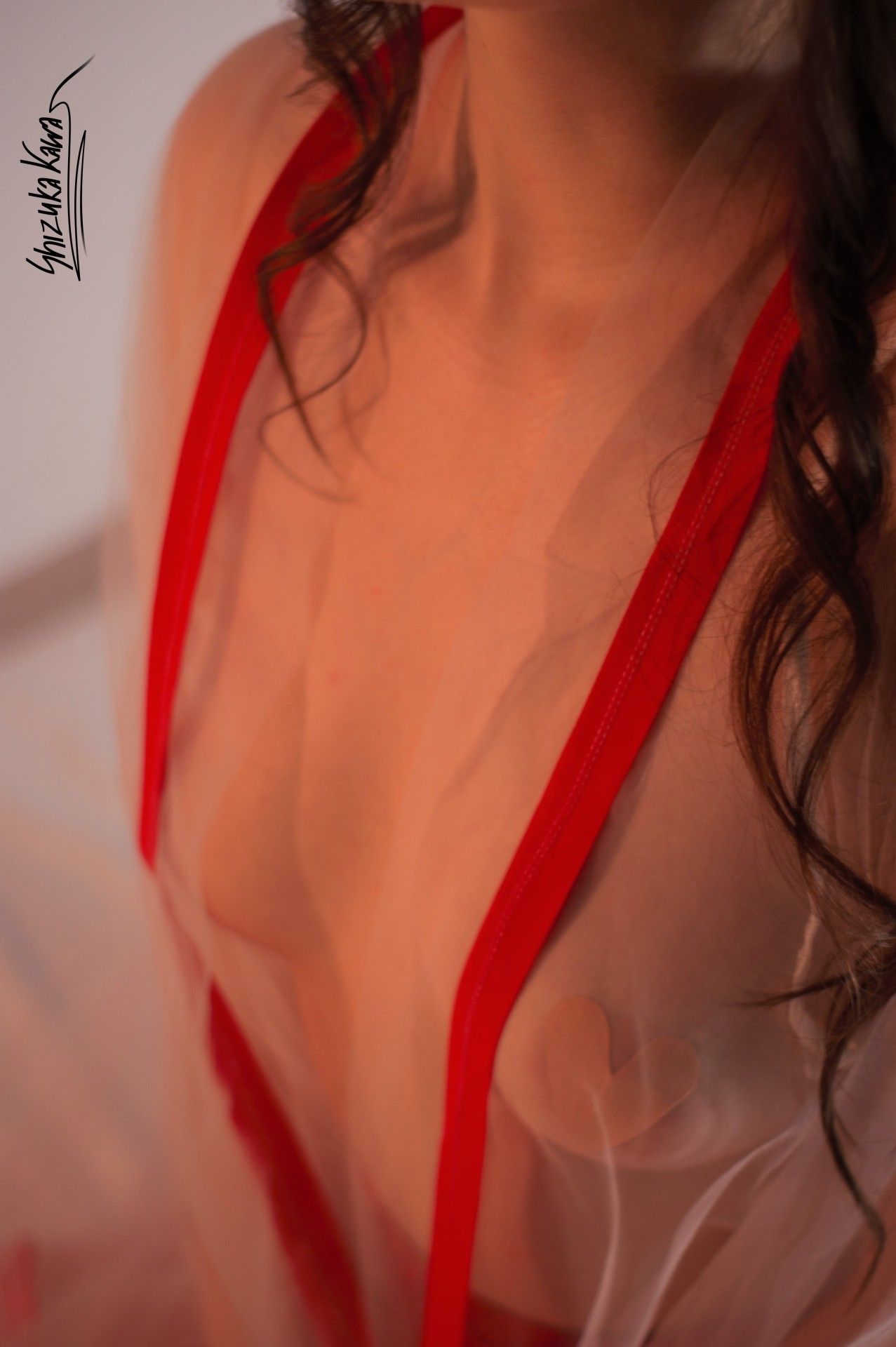 Miko Priestess in See-through Kimono with Maebari and Heart-shaped Pasties image 3