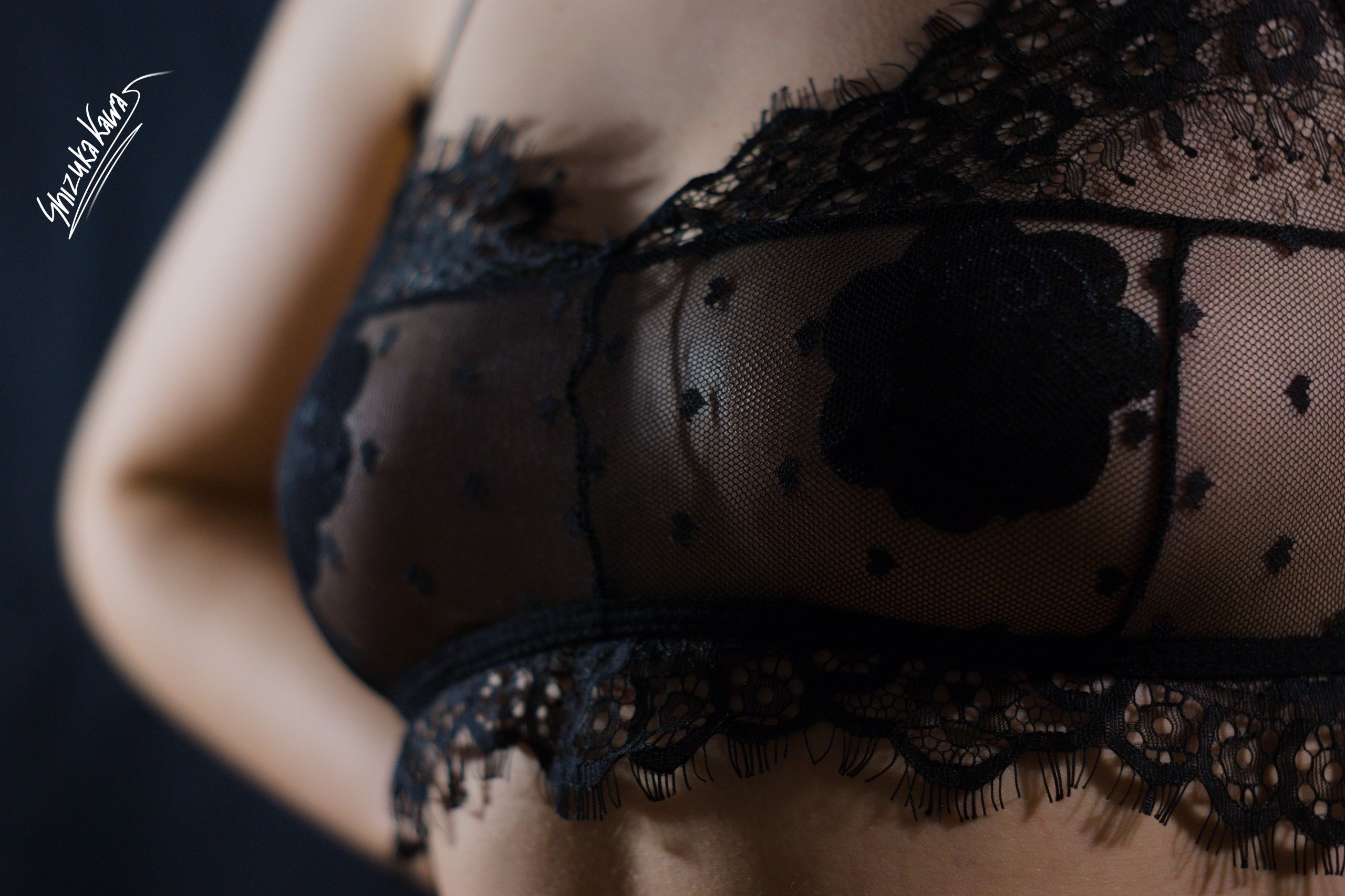See-through Lacy Lingerie and Pasties covered in Oil image 1