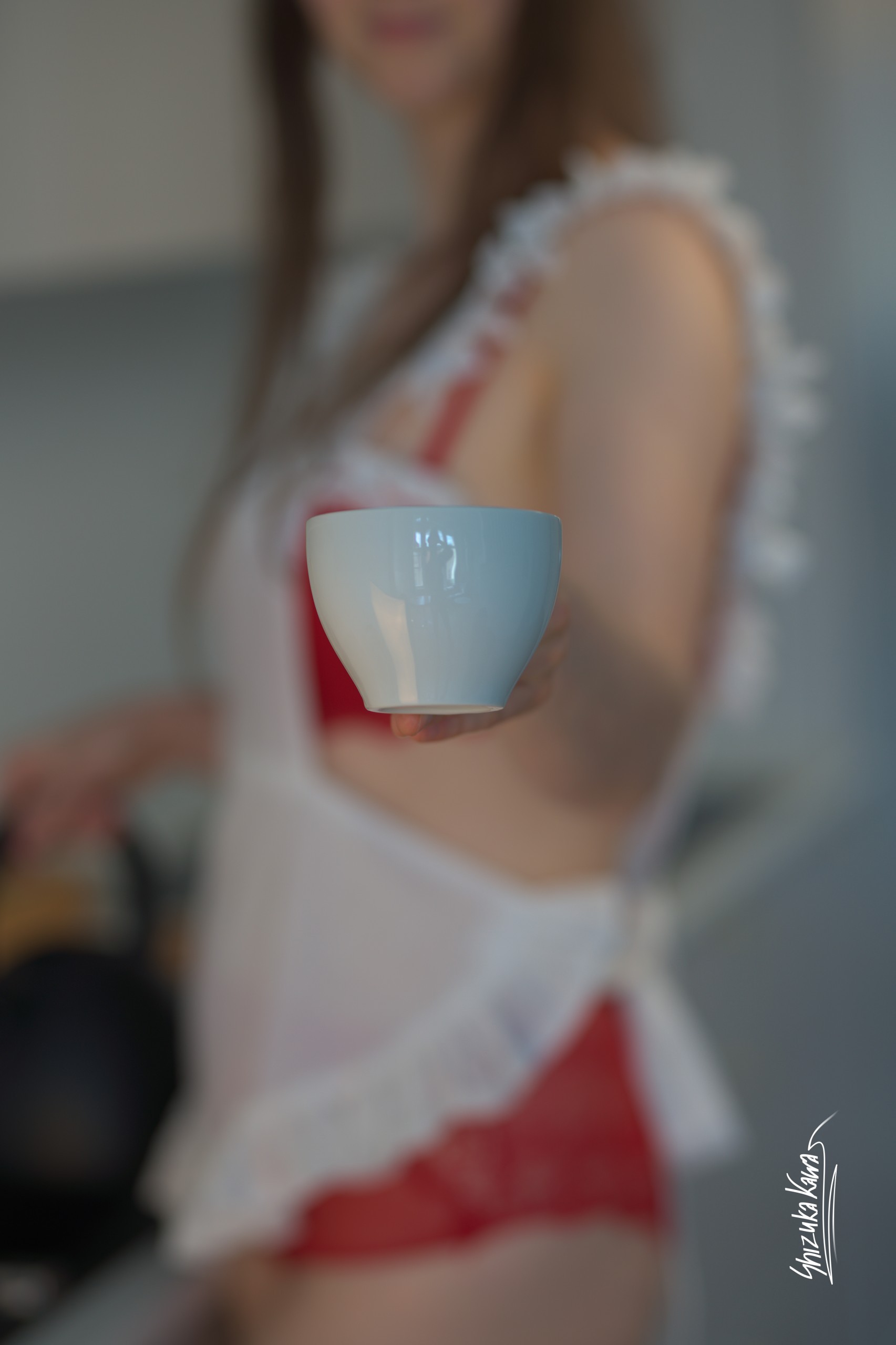 Red Shirt with Red Lingerie and Apron image 10
