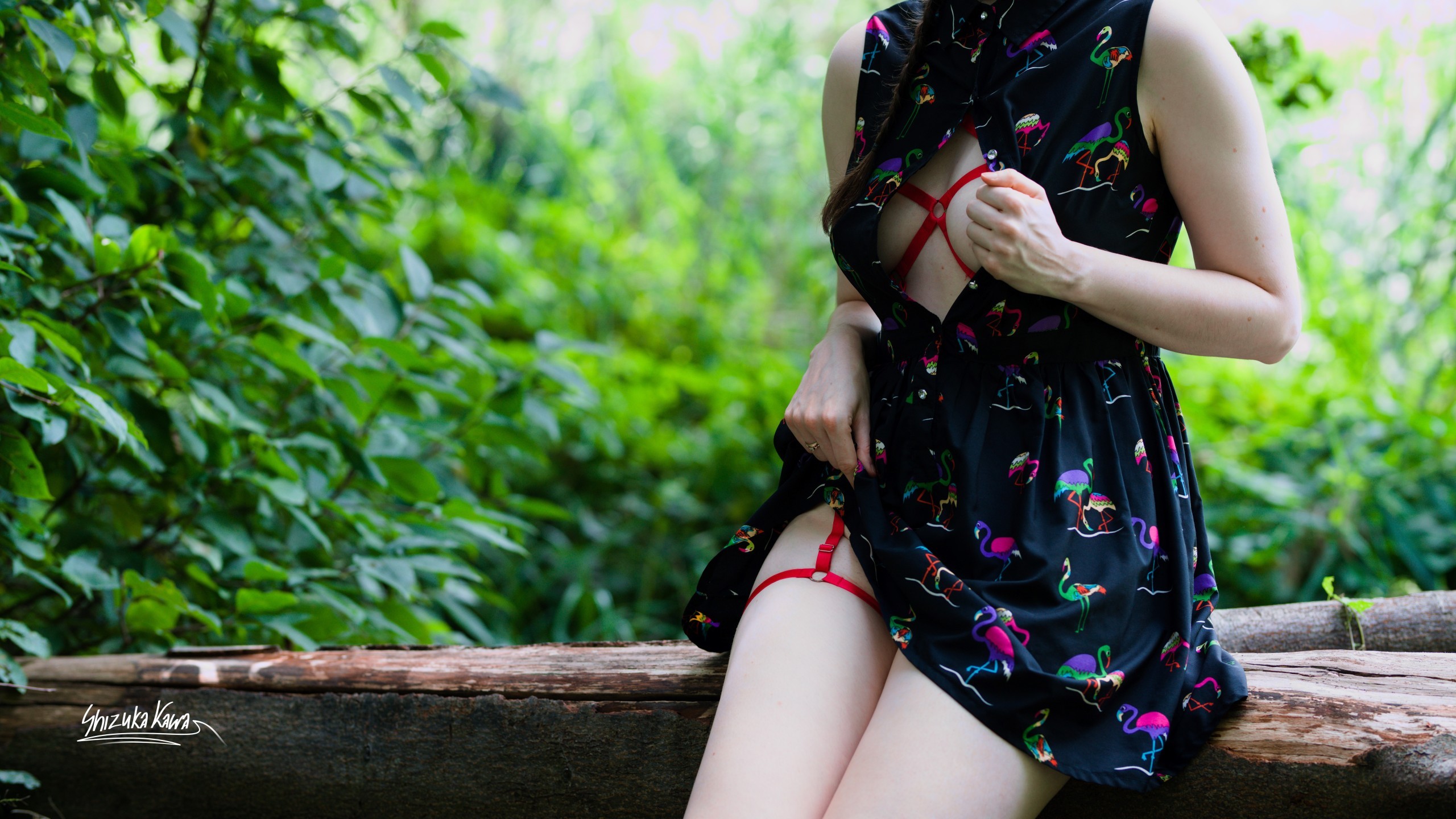 Outdoor Dress with Red Harness Underneath  image 3