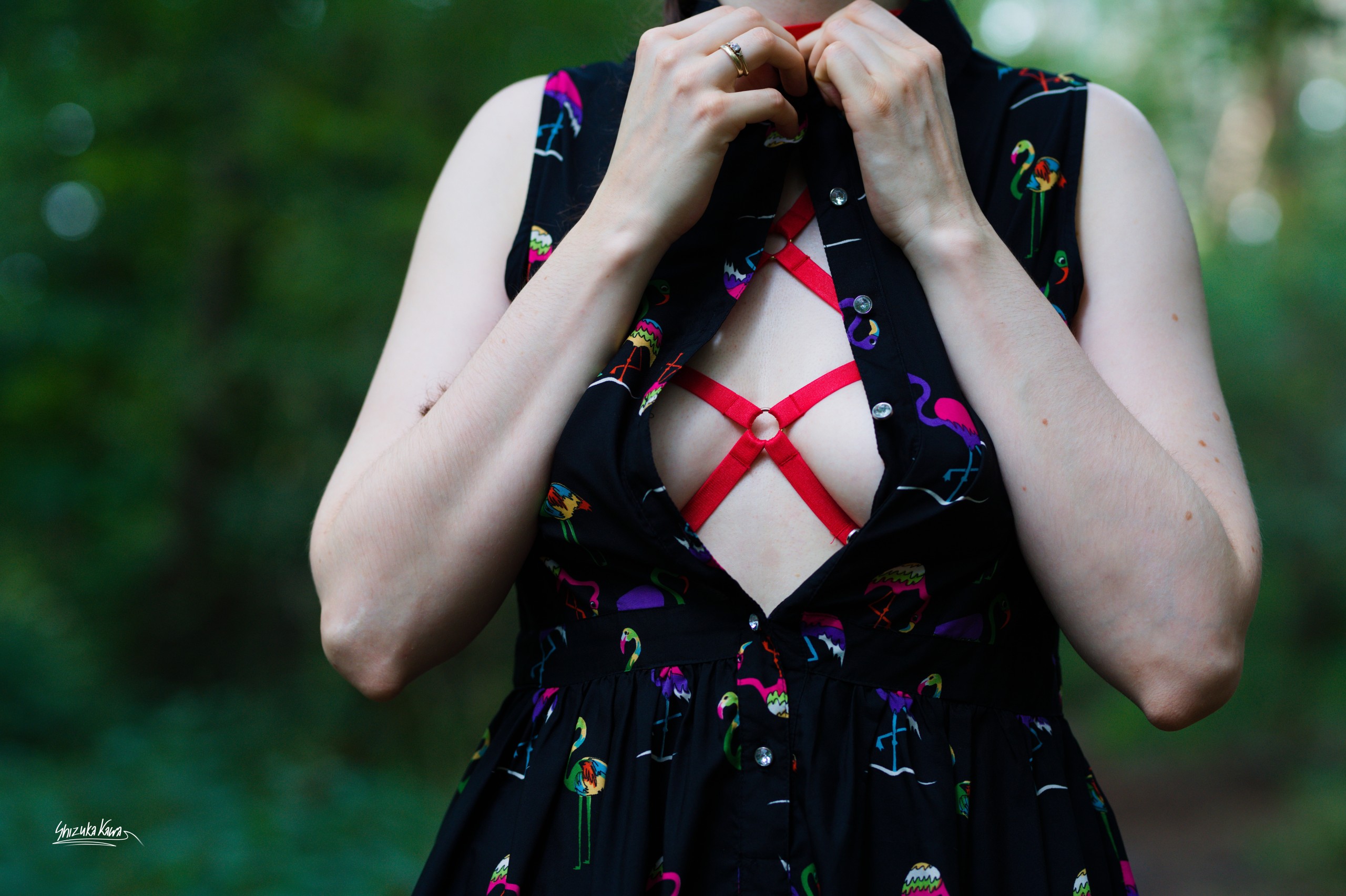 Outdoor Dress with Red Harness Underneath  image 6